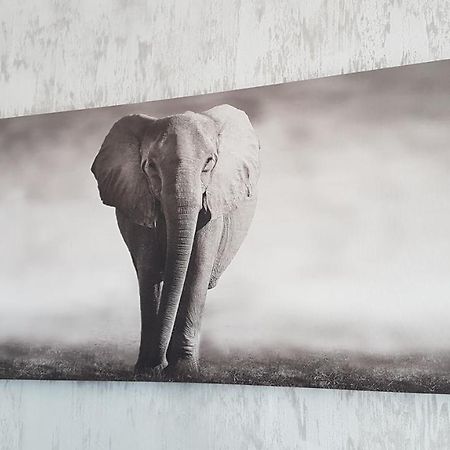 Casa Magnolia Hotell Douăzeci şi Trei August Exteriör bild